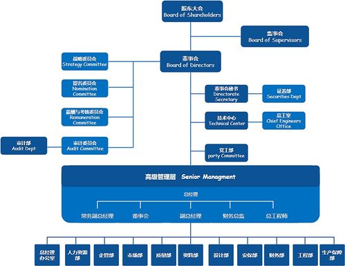 公司架构组织结构图 迅捷画图